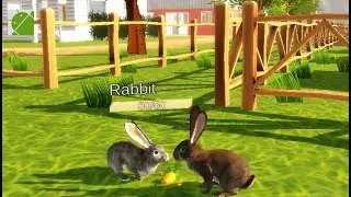 The Rabbit - Android Gameplay FHD