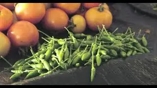 Organic Farmers Market in Mysore - Sakkath Soppu