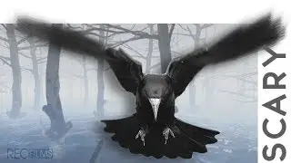 Halloween Scary / Horror / Cinematic Logo Opener - After effect template