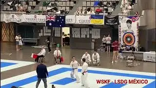 Karate - Kumite - 14&deg; World  Championships WSKF - Tokio 2019