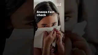 Sneeze Fact Check | Wiser Together