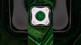 Water Cymatics #1077-A #cymatics #stem #art