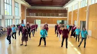 Linedance Flashmob 2025 - Do It all again