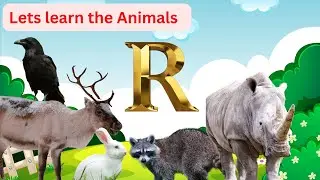 Learn the Animal- letter R