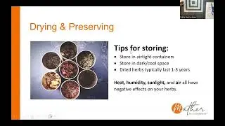 Kitchen Scrap Gardening - May 28, 2025