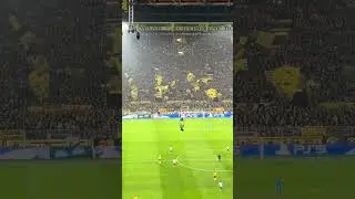 Gelbe Wand! S&uuml;dtrib&uuml;ne Dortmund #BVB #signalidunapark #atmosphere #football #fans #championsleague
