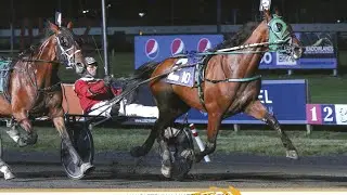 Crystal Fashion - Hambletonian Amateur - Meadowlands - August 1, 2025
