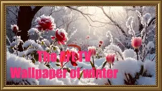 Frame TV Wall Art Collection | Winter Garden Flowers | Calm Nature Ambience