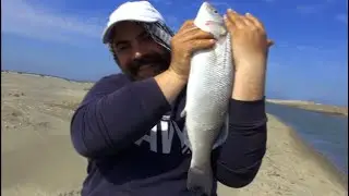 اسرار صيد سمك القاروص  والطعم المفضل لديه وكيفية تطعيمة