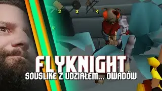 FlyKnight / Czyli indycza mucha wyśmiewa Dark Souls przytłaczająco pozytywnymi ocenami na Steam