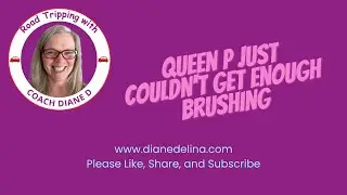 Queen P Just Couldn't Get Enough Brushing | Road Tripping with Coach Diane D #71