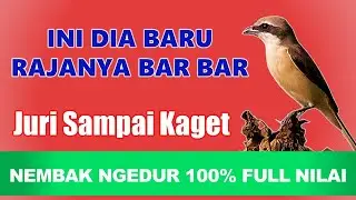Burung Anda Harus Bisa Ini, Tembakannya Selalu Masuk ❗ Masteran Cendet Full Tembakan Mp3