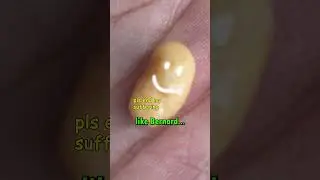 I counted every single bean in this can 🫘 #uk #bakedbeans #shorts #viral #heinz #tiktok