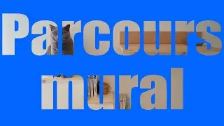 Bricolage - Parcours mural pour chat