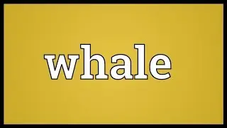 Whale Meaning