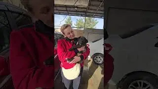 Начну, сегодня , с хорошей новости Ташкент #приюткарипиди #помощьбездомным