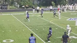 13U BATTLE🔥EXPLOSIVE MATCH🔥Frogtown vs Hit & Stick