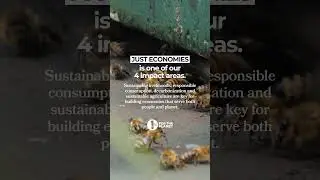 Just Economies | 1% for the Planet