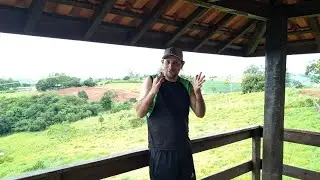&Aacute;ria rural do norte  Paran&aacute; 