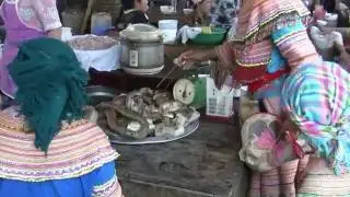 Vietnam Flower Hmong Family in B&acirc;c H&agrave;  đẹp جميل सुंदर  indah สวยงาม красивый