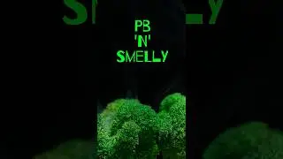 PB & Smelly Strain Review | StankyFlowers