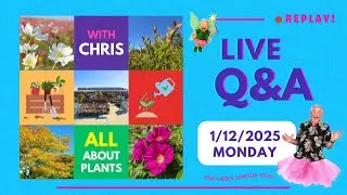 Live Q&A with Chris - Mon 1st Dec 2025