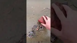 #fishing#fishingmethod#риболовля#сом#риболовлясома