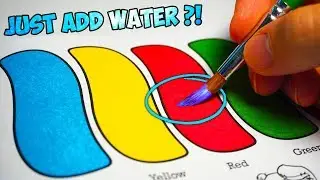 Pro Artist vs $2 Kids Colouring Book! Just Add Water? 💦