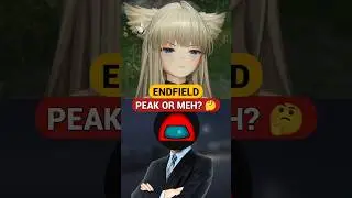 Is Endfield Good or Bad? 🤔