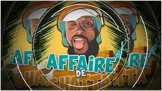 DJ Snyze - Affaire De Shatta #1