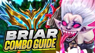 The ONLY Briar Combo Guide You Need in Season 16!