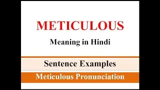 Meticulous Meaning in Hindi Meticulous sentence examples - LearnTogether English from Hindi
