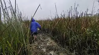 Working/clearing jungle huge abandoned rice fields 