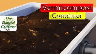 Easy Vermicomposting: How to Process Organic Waste in a Container