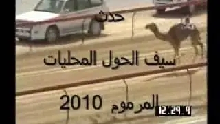 ملك النامووس2010انجازات هجن العاصفه فزاع