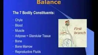 TTM. Traditional Tibetan Medicine 2/6
