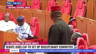 Senate Demands Apology From Libya Over ill-Treatment Of Super Eagles