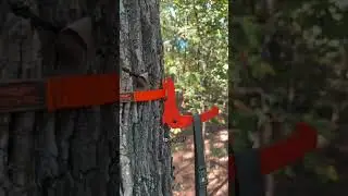 hang & hunt with me! 🤙