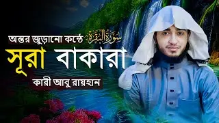 সূরা আল-বাকারা | ঘর থেকে শয়তান দূর করার শ্রেষ্ঠ সূরা | হৃদয় জাগানো তিলাওয়াত | ক্বারী আবু রায়হান
