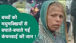 जान की परवाह किए बगैर मधुमक्खियों के हमले से आंगनवाड़ी कार्यकर्ता ने बचाई 20 बच्चों की जान ! MP Tak