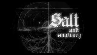 Salt and Sanctuary: INFINITE Salt dupe 