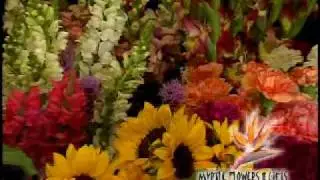 Myrtle Flowers & Gifts - Express Feelings with Flowers
