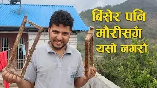 माहुरीको साथ यो कहिले पनि नगर्नुहोस्  Never Do This with Bees || Bee Keeping in Nepal
