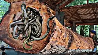 Surprise discovery of 5,000-year-old giant redwood log at sawmill