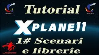X-plane 11 Tutorial Come installare gli scenari e le librerie. Consigli utili