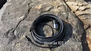 AQUARIAN AUDIO H2a Hydrophone #Hydrophone #FiledRecording