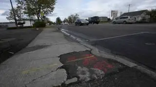 What does the Puget Sound Regional Council do?