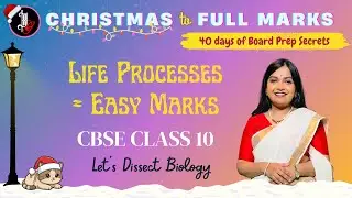 Life Processes = Easy Marks | Let's Dissect Biology! | Xmas to 100