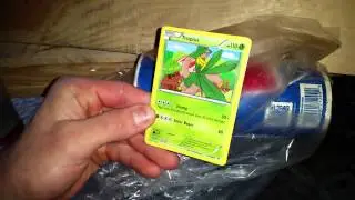 Apertura Pokemon Cielos Rugientes Con Ddog281330