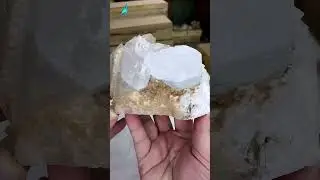 Goshenite And Quartz Shorts ||SHAMSONS